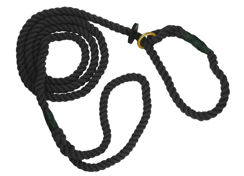 Gun dog hot sale slip leads uk