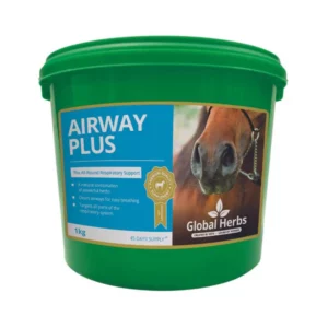 Airway Plus Powder